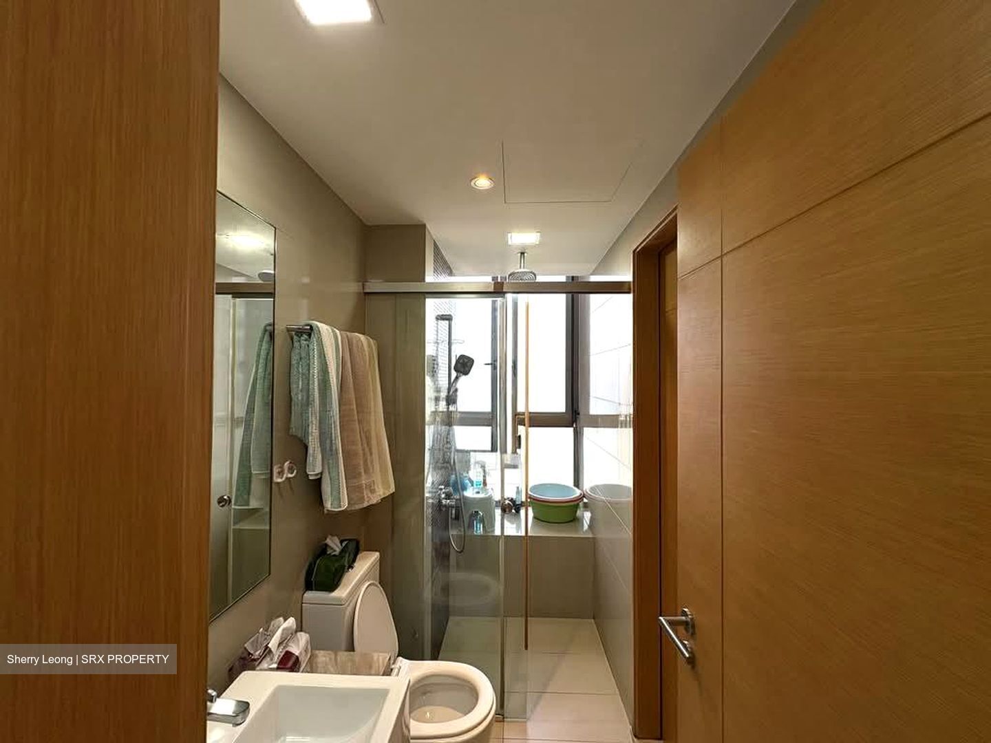 Angullia Park Residences @ Orchard (D10), Apartment #592010431